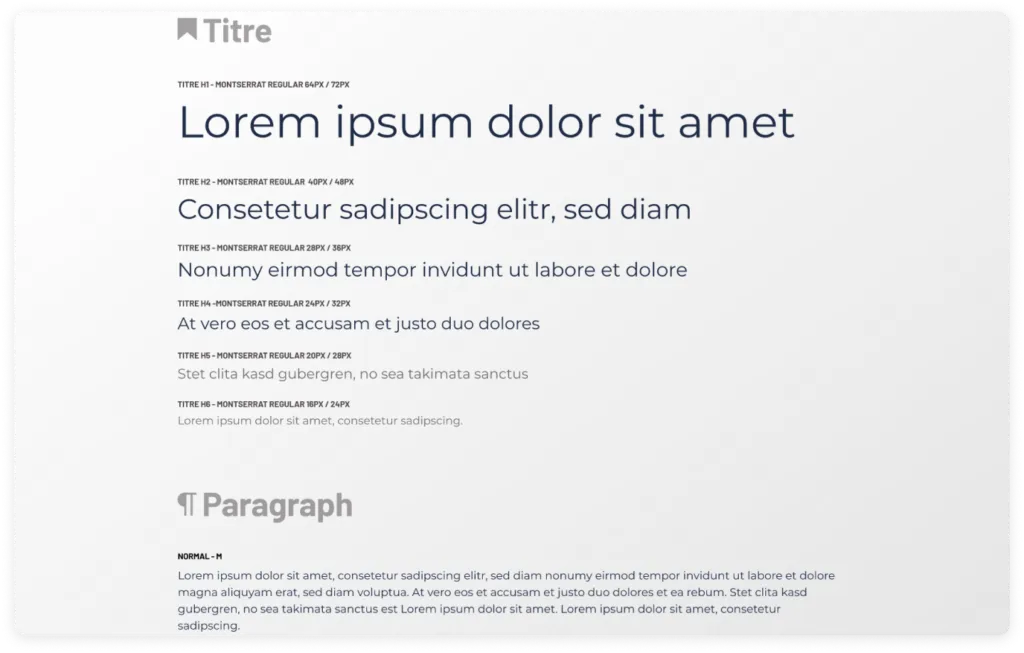 Type system