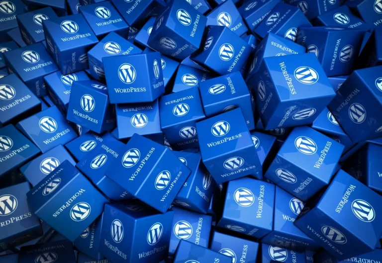 Déporter média WordPress vitesse