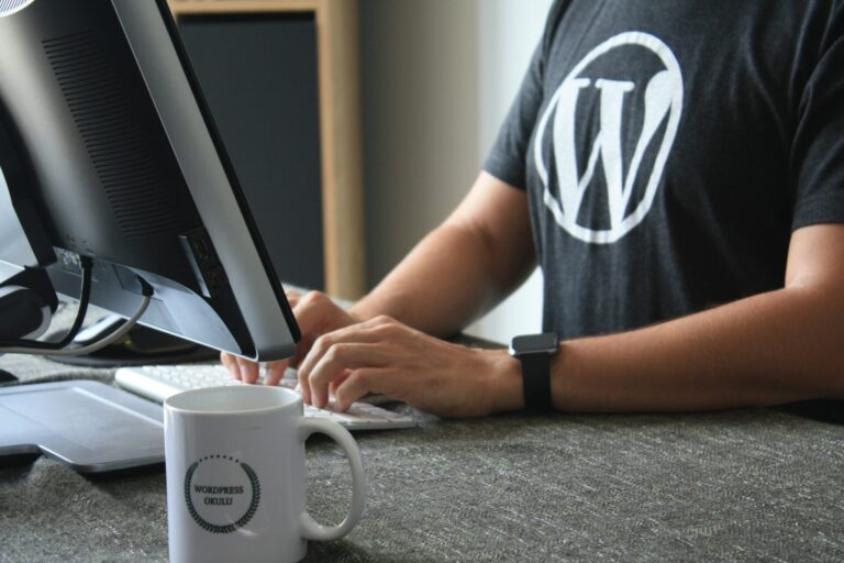 WordPress développement